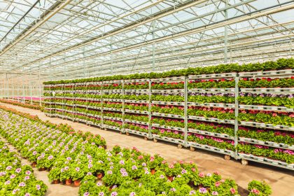 MBO-opleiding Vakbekwaam medewerker agrohandel en logistiek