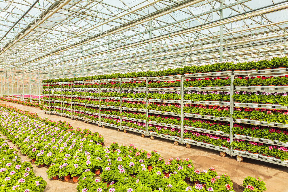 MBO-opleiding Vakbekwaam medewerker agrohandel en logistiek