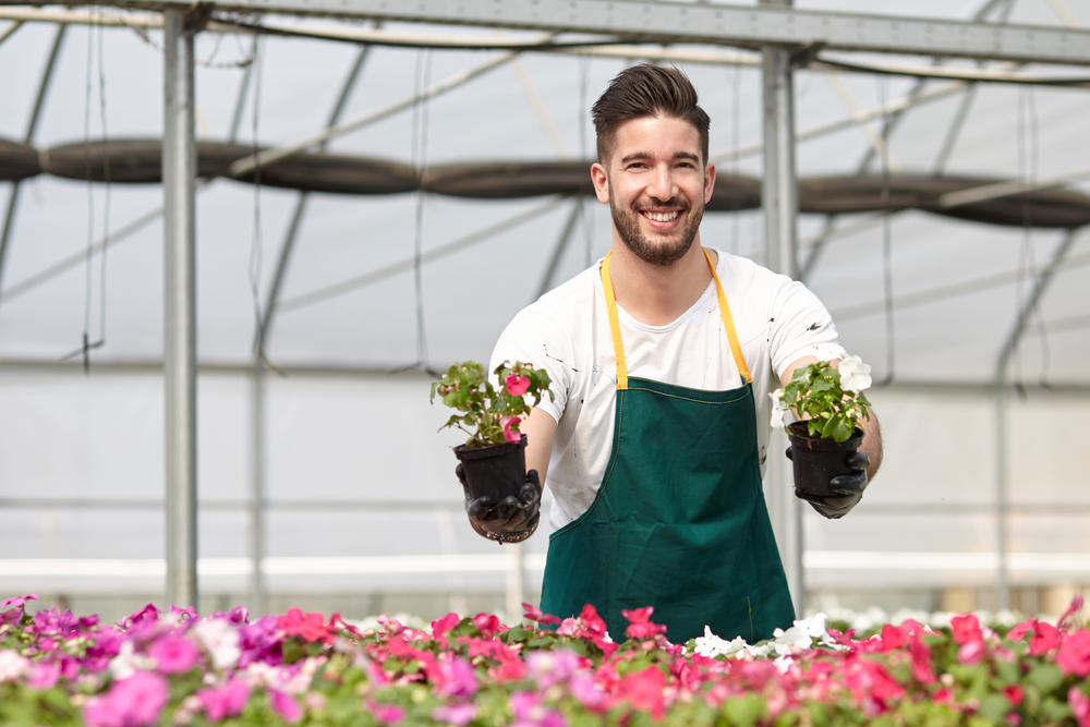MBO-opleiding Medewerker hovenier en groenvoorziening